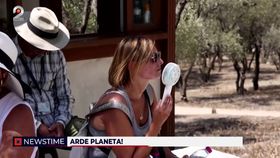 Europa fierbe sub soarele puternic! Schimbările climatice aduc temperaturi din ce în ce mai extreme